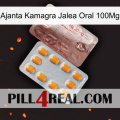 Ajanta Kamagra Oral Jelly 100Mg new13